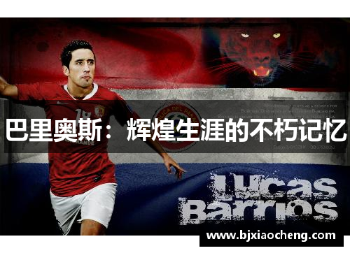 巴里奥斯：辉煌生涯的不朽记忆
