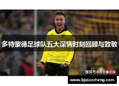 多特蒙德足球队五大深情时刻回顾与致敬