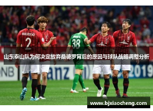 山东泰山队为何决定放弃桑德罗背后的原因与球队战略调整分析