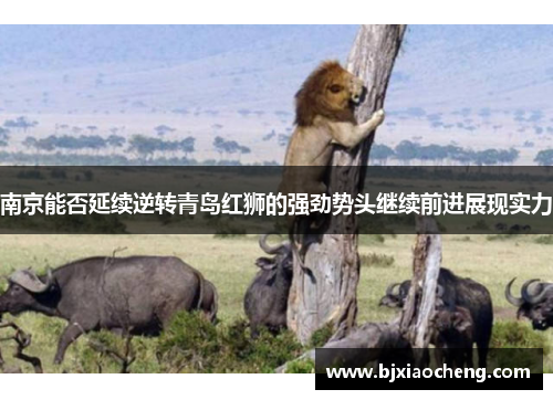 南京能否延续逆转青岛红狮的强劲势头继续前进展现实力